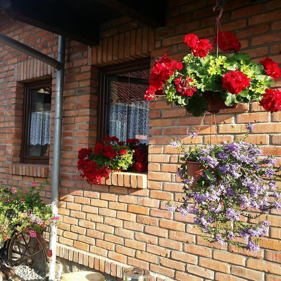 Gosciniec Galkowo Pension Buitenkant foto