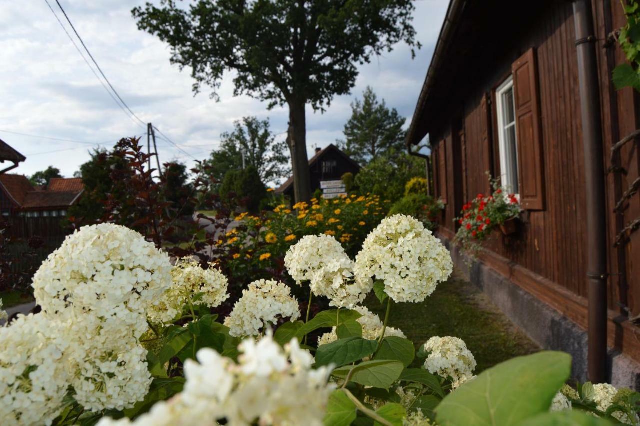 Gosciniec Galkowo Pension Buitenkant foto